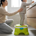 Kids Potty Training Seat With Removable Insert