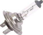 Halogen Globe - H7 55 Watt 12V