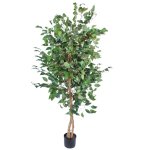 Artificial Ficus Tree With Twisted Stems