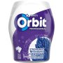 Orbit Professional Gum Strong Mint 64G