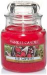 Candle Red Raspberry Small Jar Retail Box No Warranty   Product Overview  The Traditional Design Of Our Signature Jar Candle Ref