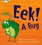 Phonics Bug Set 11 Eek A Bug Paperback