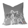 Zebra On Grey Luxury Scatter By Fifo Large