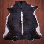 Aa Grade Nguni Hide 680 Tricolor L - Large Tricolor Panelled