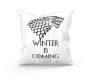 Game Of Thrones Winter Is Coming House Stark Custom License Plate Frame Plastic Frame Qty 1