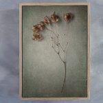 Foraged 2 Art Print - A4 Framed Canvas With Natural Wood Frame