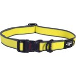 Rogz Amphibian Classic Medium Collar - Dayglo Waggs Online Pet Shop