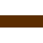 Faber-Castell Polychromos Pencil Burnt Umber