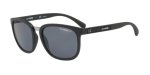 Tigard Polarized