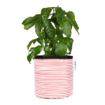 Red Stripy Planter - Medium