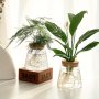 1PC Glass Planter Propagation Station Vase Rack Tabletop Hydroponic Plants Cuttings Office Home Decoration