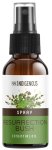 Pure Indigenous Room Spray - Resurrection Bush