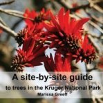 A Site-by-site Guide To Trees In The Kruger National Park Paperback