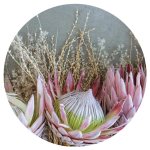 Floral Deep Pink Coasters
