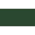 Caran D& 39 Ache Pablo Coloured Pencil - Olive Black 019