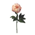 - Closed Peony - Light Pink - 47CM