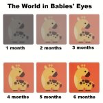High Contrast Baby Flashcards Black White Card Newborn Brain Development Toy Visual Stimulation Learning Activity Cards Hallowee