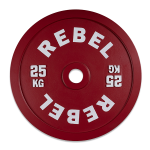 Rebel Calibrated Steel Plates - 2 X 25KG