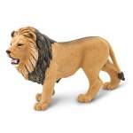 Lion -