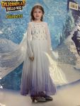 Elsa Dress Purple Blue White Costume