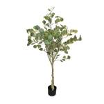 Eucalyptus Tree
