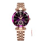 Luxury Crystal Dial Ladies Steel Wristwatch