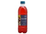 Single Batch Water Kefir Hibiscus