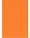 Rexel Rexpro Prima Board Bright Orange – 1220OR