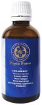Bilberry Herbal Tincture