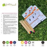 Vegetable Seed Pencil