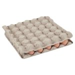 Extra Large 30 Pack
