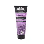 Shampoo - Dry Hair