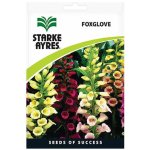 Foxglove Foxy Seeds