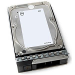Dell 4TB 3.5-INCH 7K Rpm Nlsas 12GBPS 512N Hot-plug Internal Hard Drive 400-BLEW