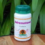 Adrenotone 60 Capsules Willow
