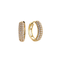 Gold Hoop Earrings
