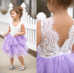 Lace Purple Tutu Dress - The Purple Lovey