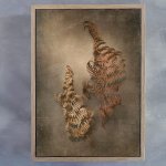 Earthy Ferns 3 Art Print - A3 Framed Canvas With Natural Wood Frame