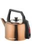 Electric Stainless Steel Kettle