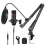 Condenser Microphone Kit With USB Sound Card