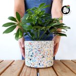 Terrazzo Pot - Dune - 16CM Inner Diameter