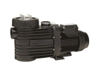 Speck 0.75KW Swimming Pool Pump