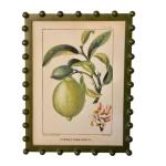 Bobble Framed Fruit Wall Art Antique Lemon