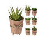 Succulent Plant Pot 15CM 6ASS