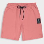 M Fire Fleece Short _ 180572 _ Pink - M Pink