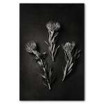 Monochrome Pins 1 Art Print - A1 No Frame Print Only