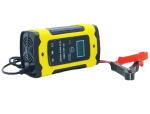 EA022 Auto Battery Charger Intelligent Pulse Repair 12 Volts 12 Amps