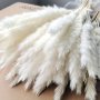 45PCS White Dried Pampas Grass Dried Natural Pompous Grass Branch For Boho Shower Wedding Home Decor Diy Dining Table Christmas Thanksgiving New Year And