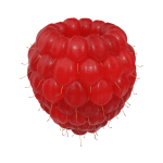 Raspberry Sweet Concentrate - 100ML