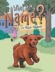 What& 39 S My Name? Hardcover